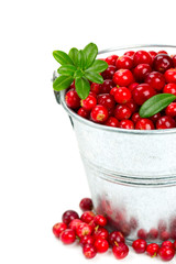 cowberries in a bucket isolated on white