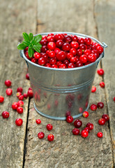 cowberrie in a bucket on wooden surface