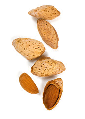 fresh almonds