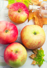 autumn apple