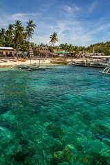 Green Coast of Tropical Apo island, Philippines