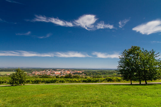View of meadow and Valtice city from Reistna collonade