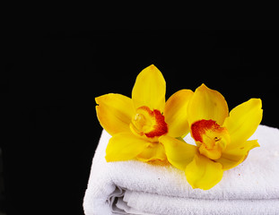 Obraz na płótnie Canvas Yellow orchid with towel on a black background