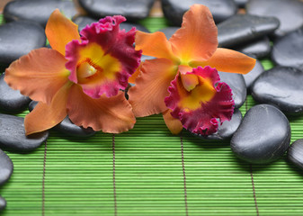 Zen rock and two orange orchid e on green mat