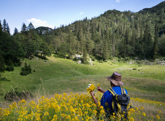 Herbalist picking herbs on valley in high mountains