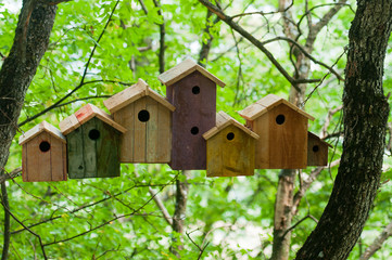 birdhouse