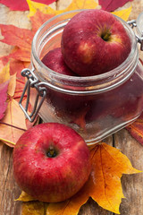 Ripe,sweet apple autumn harvest