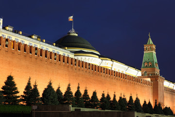 Fototapeta na wymiar Kremlin wall, Senate and Senate tower in Red Square, Moscow, Rus