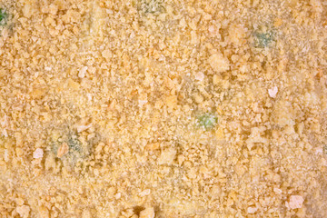 A very close view of breadcrumbs atop frozen TV dinner