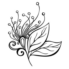 Beautiful Decorative Flower with Leaves (Vector)