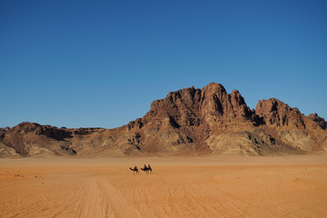 Fototapeta na wymiar Pustynia Wadi Rum - Jordania - karawana wielbłądów