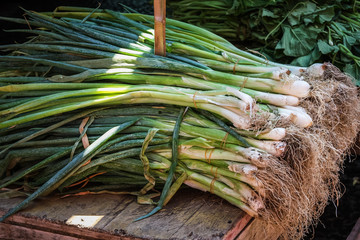 Fresh white onions at the local farmer's market.