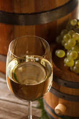 Wine concept