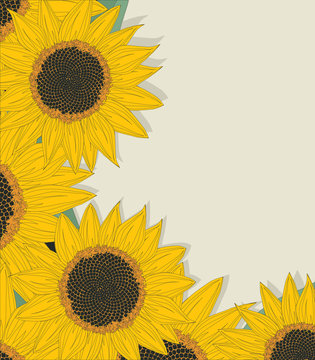 Sketchy sunflowers card