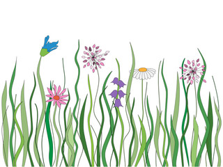 Vector grass with flowers