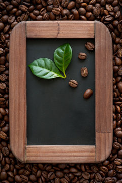 Coffee beans with green leaves on a chalkboard