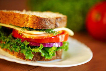 Close up of sandwich