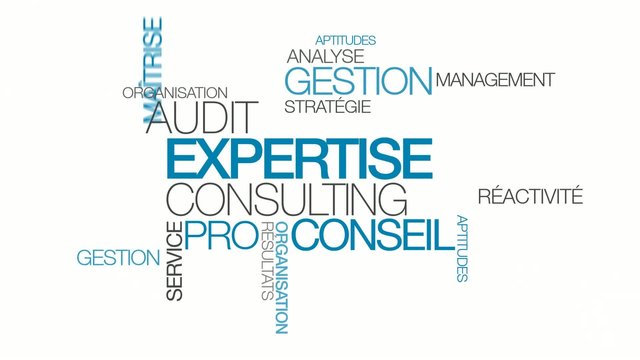 Expertise audit conseil consultant tagcloud mots animation