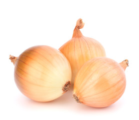 Onion