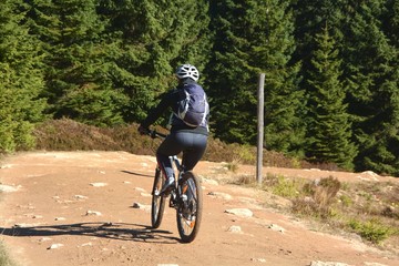 Downhill am Brocken