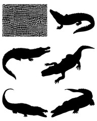 Silhouettes  of crocodiles and skin-vector