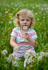 little blond girl blowing a dandelion