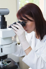 A young female scientist looking into a microscope