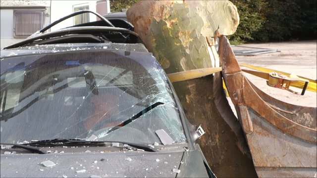 Zeitlupe Unfall mit Baum Anprallsituation
