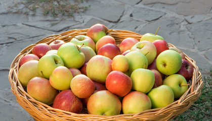 Apples in a wicker basket