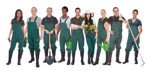 Group Of Gardener Workers