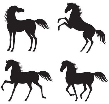 Set silhouette horse