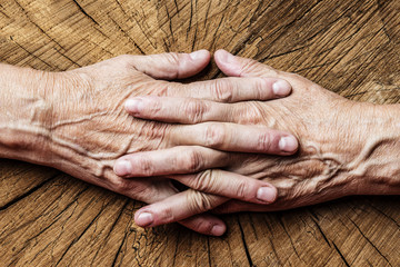 old senior hands and old tree