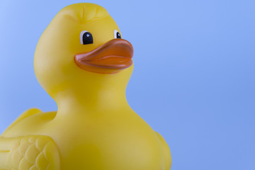 Rubber Duck