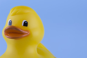 Yellow Rubber Duck