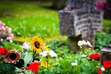 Fresh flowers on grave. Selective focus on sunflower