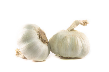 Garlic isolated on white background