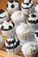 Iced Gourmet Cup Cakes