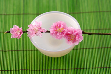 Pink cherry flower on bowl on bamboo green mat