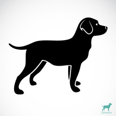 Vector of a dog labrador on white background. Pet. Animals.