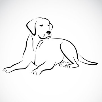 Vector image of an dog labrador