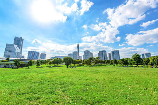 Landscape grass prospects the Yokohama city buildings