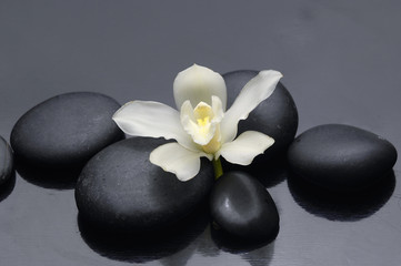 Fototapeta na wymiar Spa still life z gardenia kwiat i zen