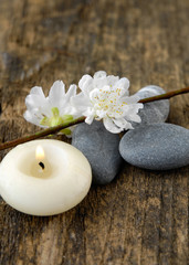 Fototapeta na wymiar grey stones and spring flower ,candle on old wood