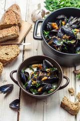 Fresh mussels served in a sunny day