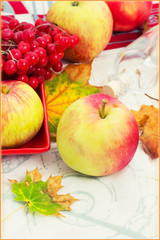 Naklejka na ściany i meble Ripe,sweet apple autumn harvest and fallen leaves