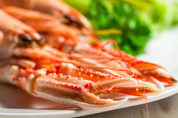 Feshly cooked scampi on a plate