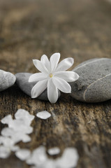Fototapeta na wymiar Spring flower and pile salt with stones on a grunge wood
