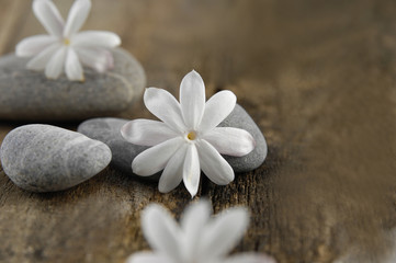 Fototapeta na wymiar Three white flower and stone on a grunge wood