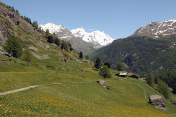 Fototapeta na wymiar Huts and chalets in the village of Zmutt in the Swiss Alps