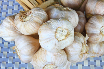 Bunch garlic